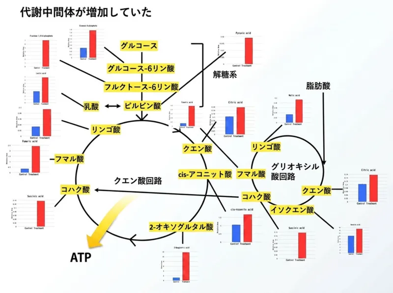 Metabolome analysis detailed chart